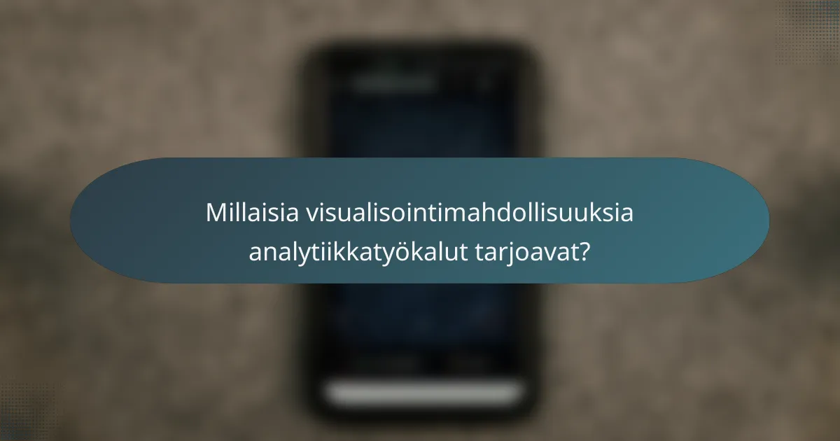 Millaisia visualisointimahdollisuuksia analytiikkatyökalut tarjoavat?